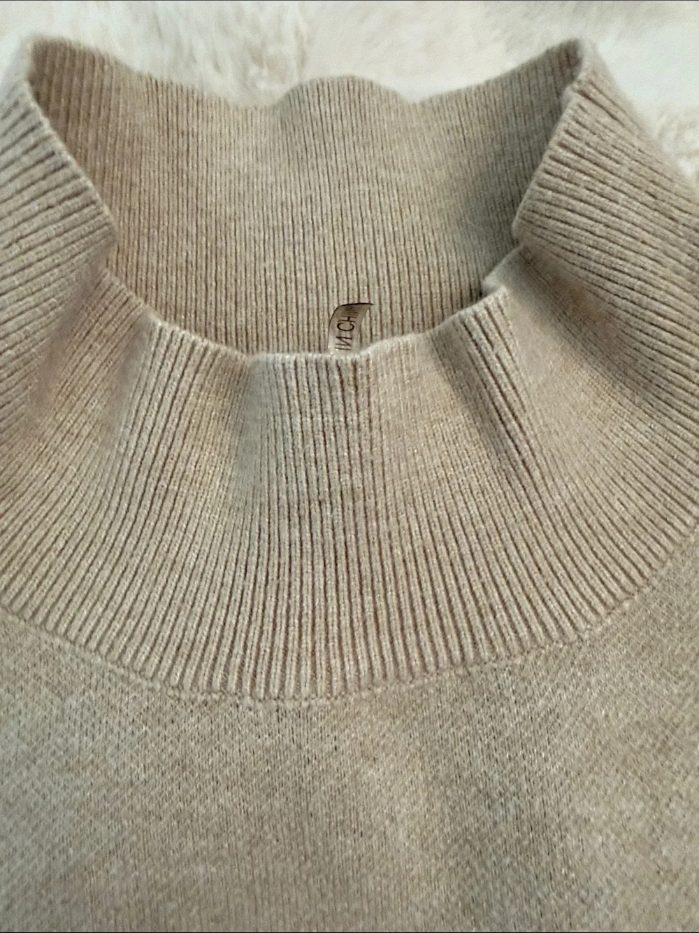 entro Beige Pullover with Brown Leopard-Cat Print